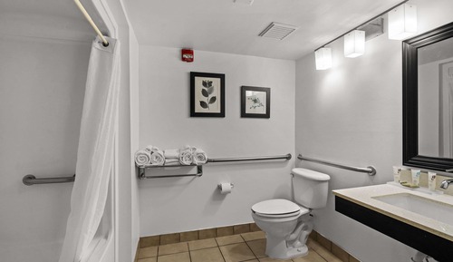Habitación Premium, 2 camas de matrimonio, accesible para personas con discapacidad, no fumadores