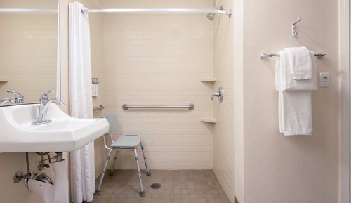 Suite estudio, 1 cama de matrimonio, accesible para personas con discapacidad (Roll-In Shower)