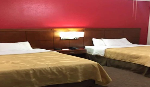 Suite, varias camas, no fumadores