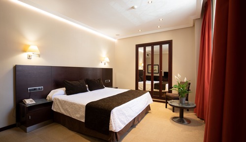 Habitación Deluxe con 1 cama doble o 2 individuales