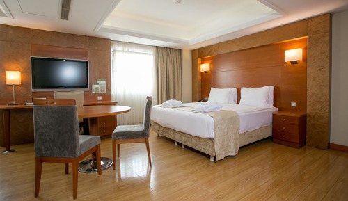 Suite, 1 habitación (Additional Living Area)