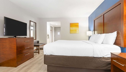 Habitación estándar, 1 cama de matrimonio grande, no fumadores