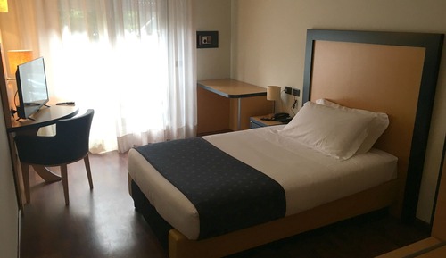 Habitación individual, 1 cama individual grande
