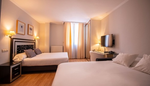 Habitación básica, 1 cama de matrimonio con sofá cama