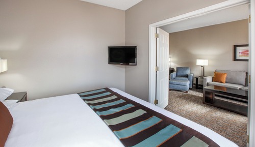 Suite, 1 cama de matrimonio grande, no fumadores (One-Bedroom)
