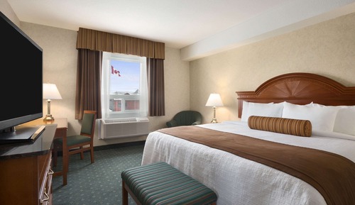 Suite estudio superior, 1 cama de matrimonio grande, no fumadores (Not Pet Friendly)