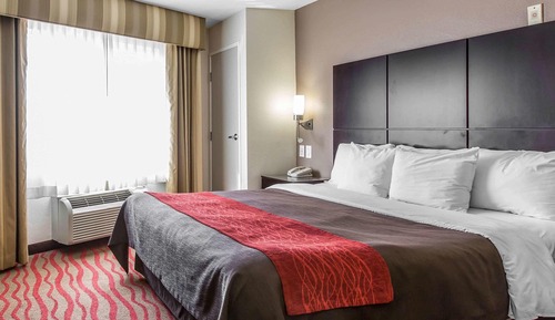Habitación estándar, 1 cama de matrimonio grande, no fumadores