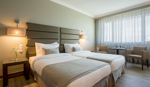 Habitación ejecutiva con 2 camas individuales