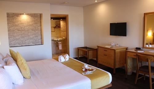Standard Room, 1 King Bed