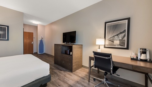 Habitación estándar, 1 cama de matrimonio grande, no fumadores, frigorífico