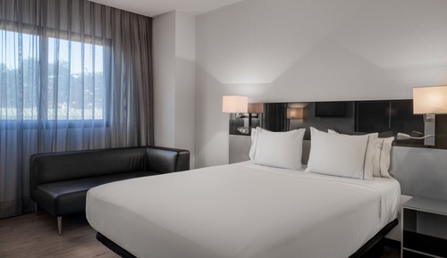 Habitación estándar, 1 cama de matrimonio grande