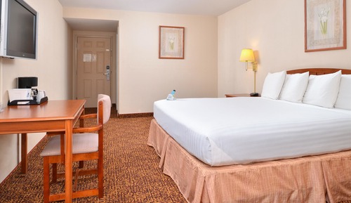 Suite, 1 cama de matrimonio grande (Jacuzzi)