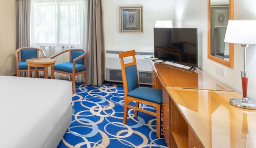 Suite, 1 habitación (Lounge Access)