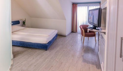Habitación individual (Budget)