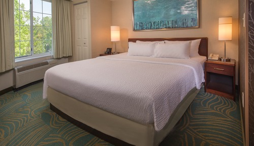 Estudio, 1 cama de matrimonio grande con sofá cama (Mobility/Hearing Access, Roll-in Shwr)