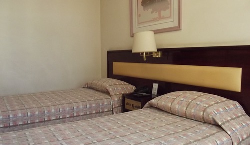 Habitación estándar con 2 camas individuales