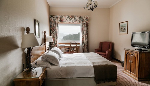Habitación estándar, 1 cama de matrimonio, vistas al lago