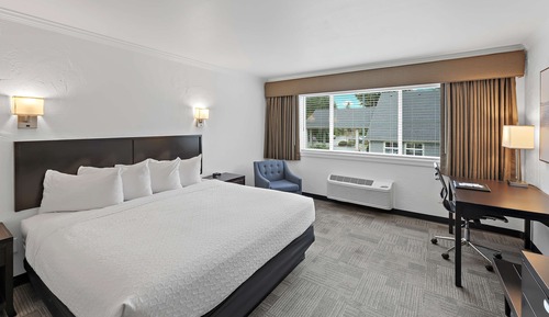 Suite, 1 cama de matrimonio, no fumadores, frigorífico y microondas (with Sofabed)