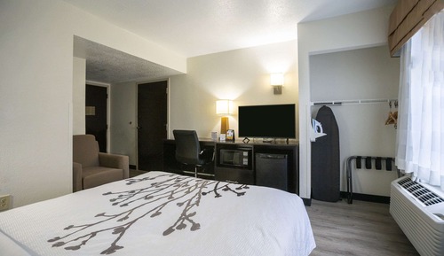 Habitación, 1 cama de matrimonio, accesible para personas con discapacidad, no fumadores
