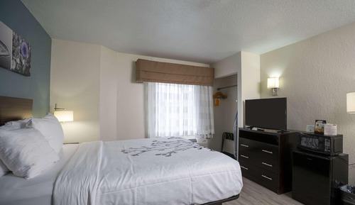 Habitación estándar, 1 cama de matrimonio con sofá cama, no fumadores