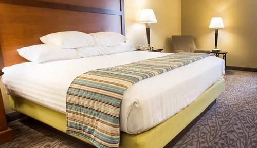 Habitación Deluxe, 1 cama de matrimonio grande, frigorífico y microondas