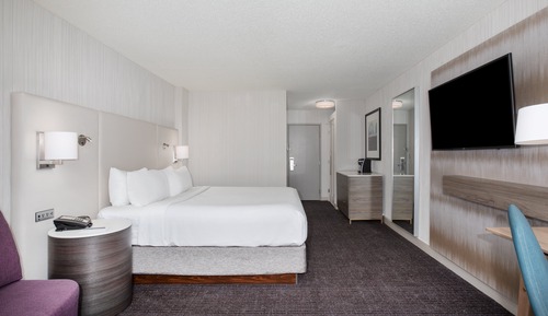 Habitación estándar, 1 cama de matrimonio grande