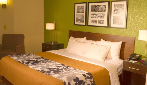 Habitación estándar, 1 cama de matrimonio grande, no fumadores