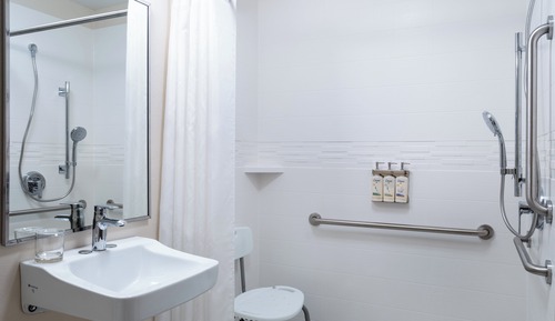 Suite estudio, 1 cama de matrimonio, accesible para personas con discapacidad (Roll-In Shower)