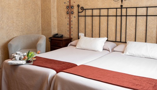 Habitación estándar con 2 camas individuales