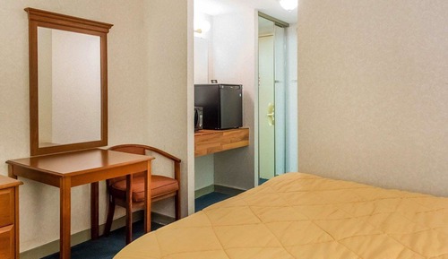 Habitación estándar, 1 cama de matrimonio, no fumadores