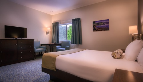 Deluxe with 1 Queen Bed ADA