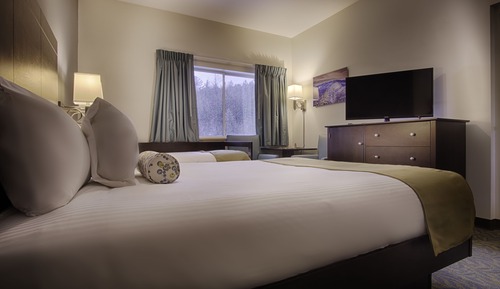 Deluxe with 1 Queen and 1 Twin Daybed