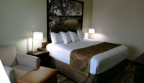 Habitación, 1 cama de matrimonio grande