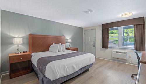 Habitación básica, 1 cama de matrimonio grande