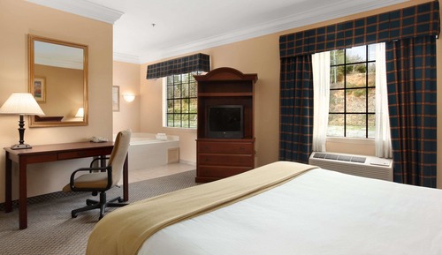 Suite, 1 cama de matrimonio grande, no fumadores, frigorífico y microondas