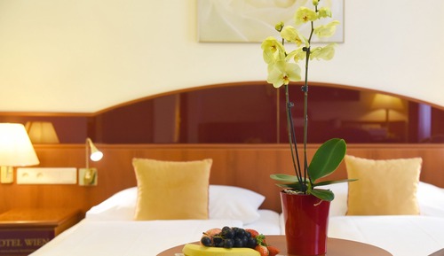 Suite Premium, vistas al patio