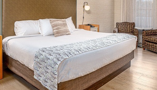 Habitación básica, 1 cama de matrimonio grande