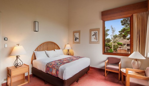 Habitación estándar, 1 cama de matrimonio grande