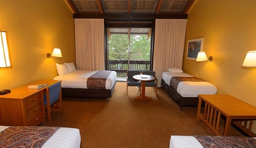 Habitación individual estándar, varias camas