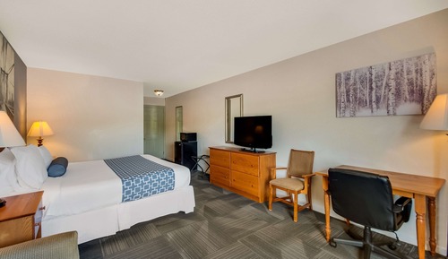 Habitación estándar, 1 cama de matrimonio grande, no fumadores, frigorífico y microondas