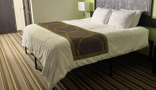 Suite, 1 cama de matrimonio grande, microondas