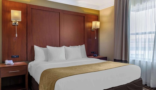 Suite, 1 cama de matrimonio grande, accesible para personas con discapacidad (Roll-In Shower)