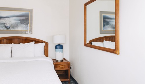 Room, 1 King Bed