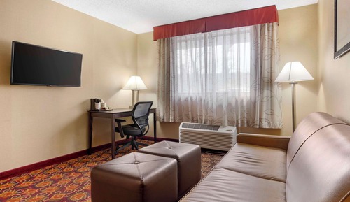 Suite, 1 cama de matrimonio grande, accesible para personas con discapacidad (Walk-in Shower)