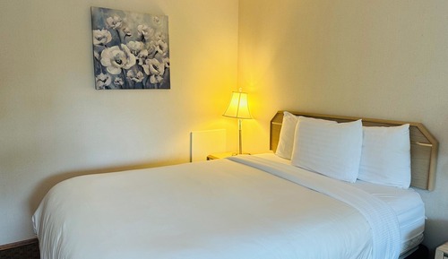 Habitación estándar, 1 cama de matrimonio, no fumadores