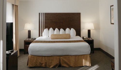 Suite estudio, 1 cama de matrimonio grande, no fumadores