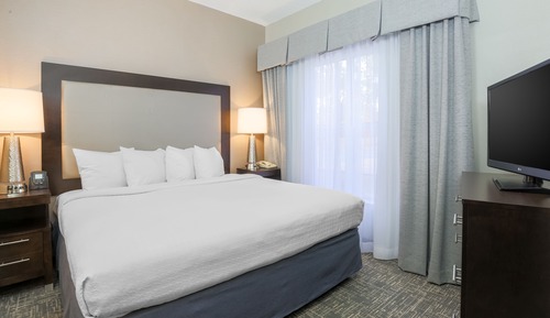 Suite Deluxe, 1 habitación, no fumadores