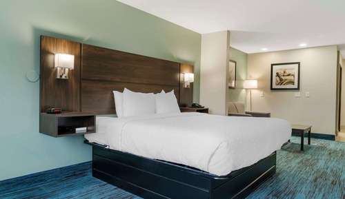 Habitación estándar, 1 cama de matrimonio grande, no fumadores, frigorífico