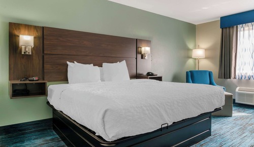 Habitación estándar, 1 cama de matrimonio grande, no fumadores, frigorífico