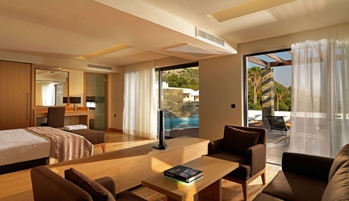 Suite Deluxe, 1 cama de matrimonio grande, vistas al jardín (Junior,Private Pool)